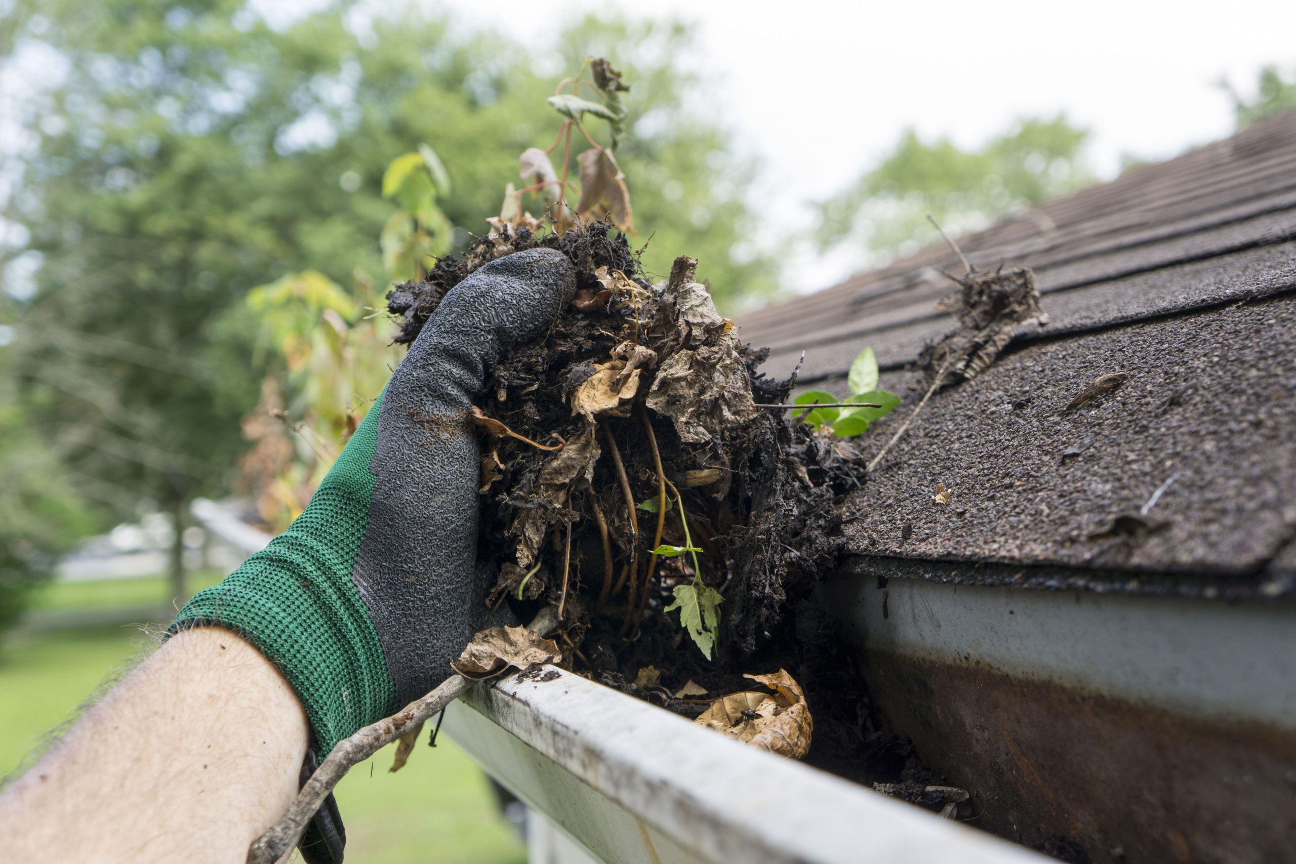 Vacuum Gutter Cleaning Melbourne
